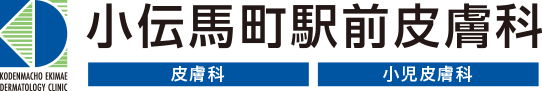 小伝馬町駅徒歩2分の皮膚科|小伝馬町駅前皮膚科|馬喰町 馬喰横山